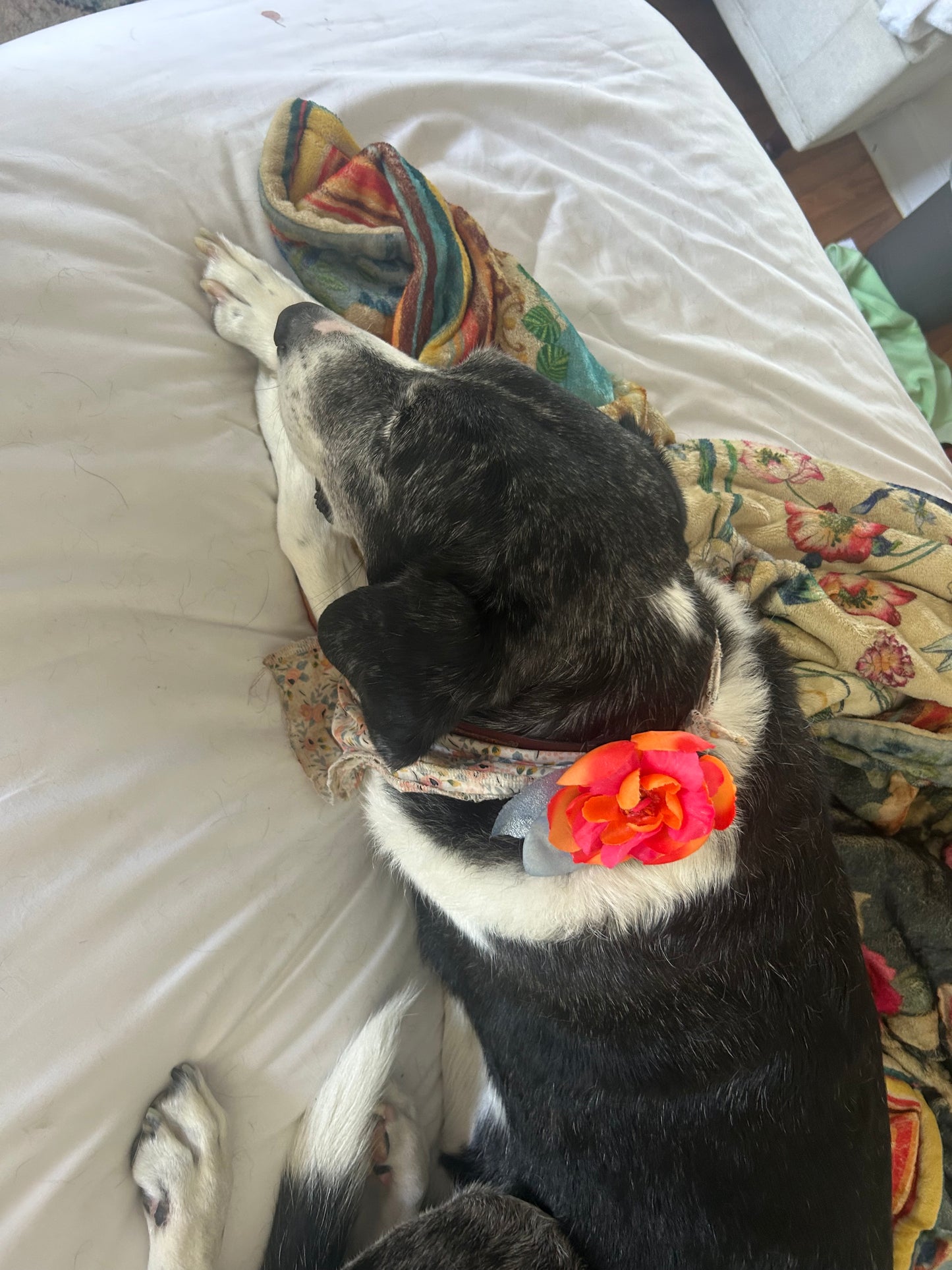 Best Friend Flower